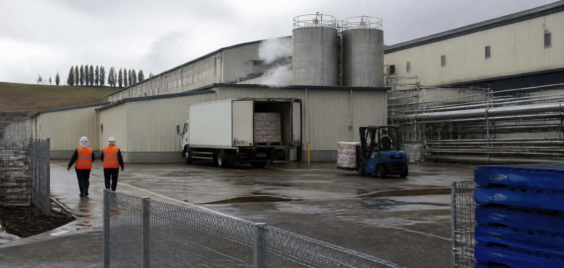 Food processing plant loading dock on an industrial estate outside Launceston, northern Tasmania — cream steel-clad factory with stainless-steel silos and lagged pipework, a white refrigerated truck reversed into the dock, a blue forklift carrying a pallet of cartons across the wet concrete apron and two workers in orange hi-vis and hard hats walking toward the dock, green farmland hills under flat overcast sky behind — Spire Safety WHS consultants Launceston