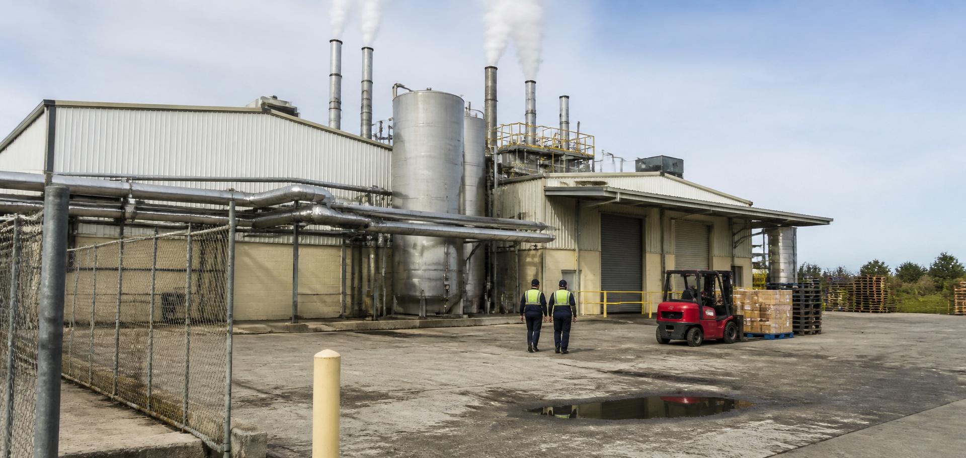 Goulburn Valley fruit cannery in Shepparton, Victoria — cream-clad food processing plant with tall stainless-steel process tanks, steam plumes from the stacks, insulated pipe-racks, a red forklift loading pallets of cartons and two hi-vis workers walking toward the loading dock — Spire Safety WHS consultants Shepparton