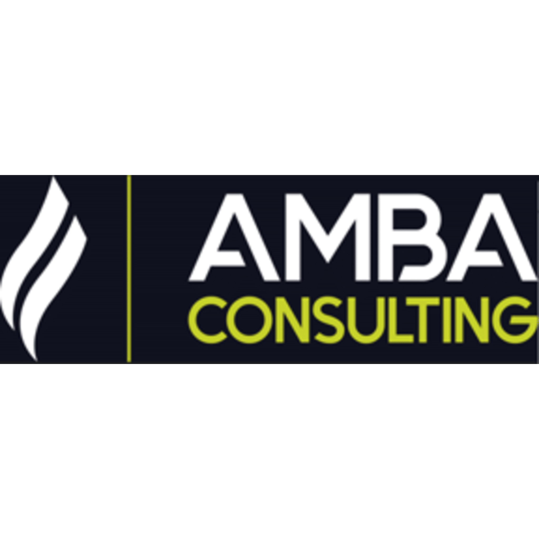 AMBA Consulting